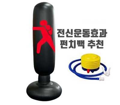 전신운동효과 펀치백 추천 종류 디자인